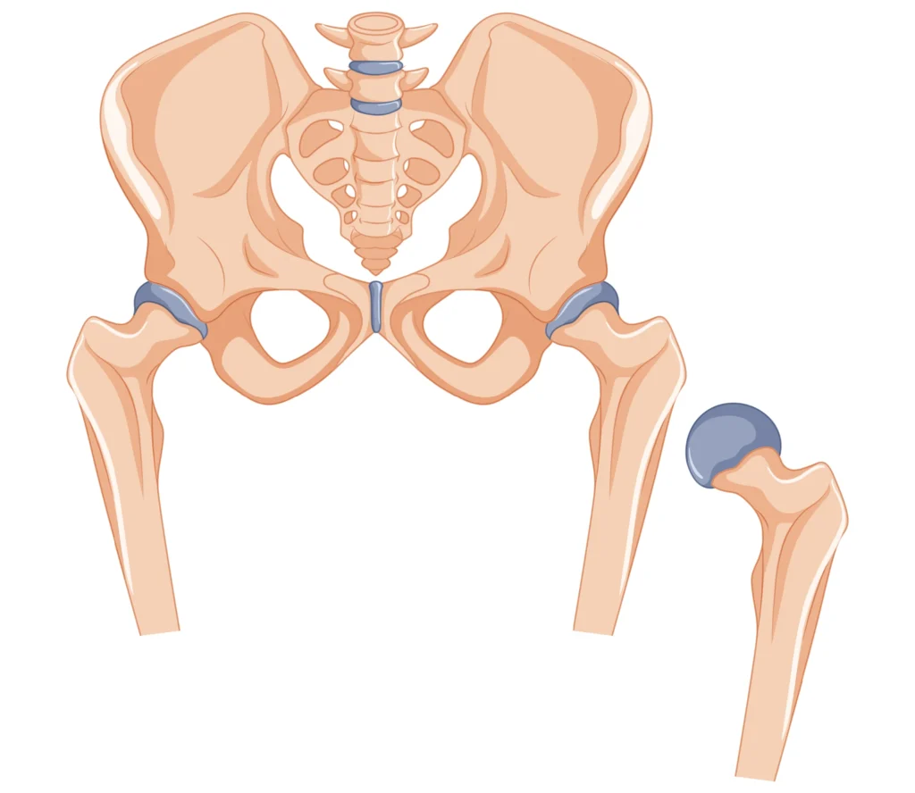orthopaedic specialist UAE