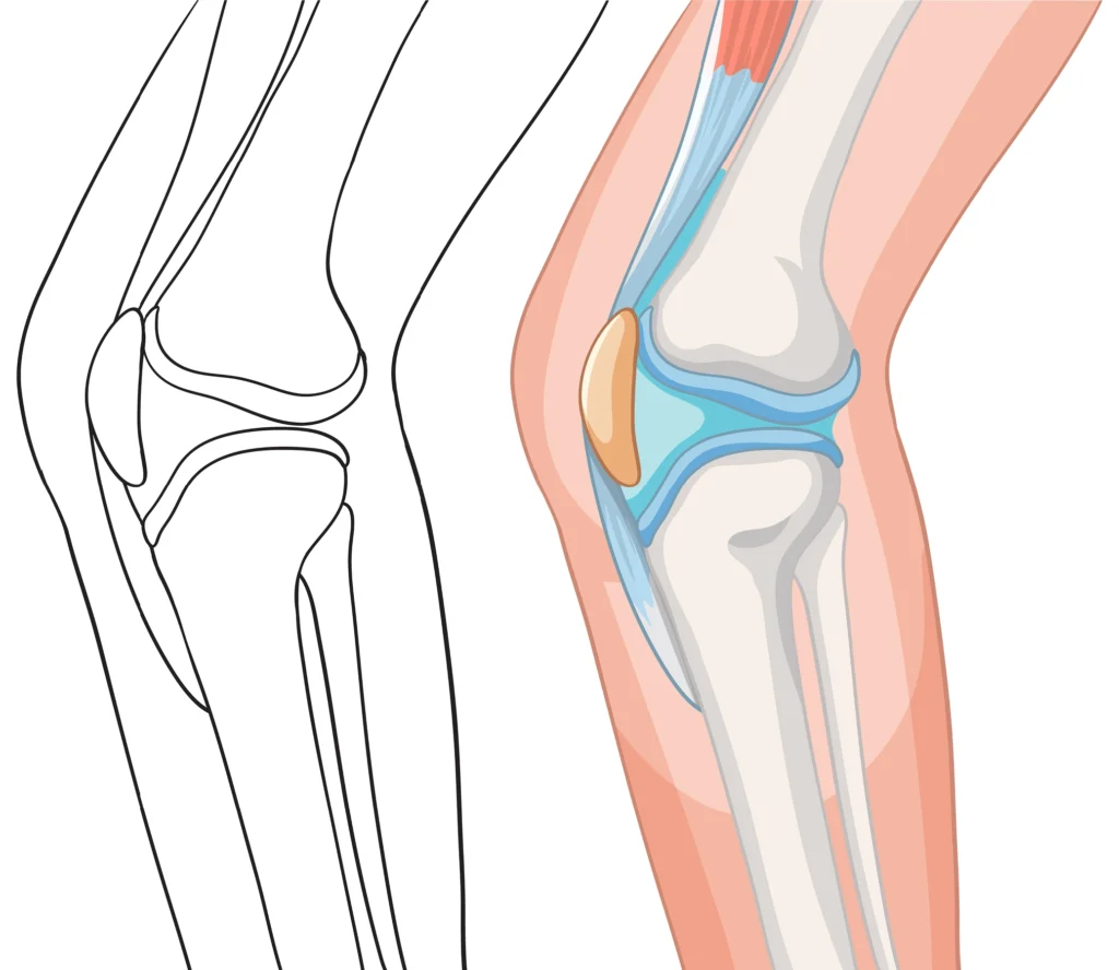 knee surgeon Abu Dhabi